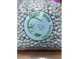 Kelkit Şeker Fasulyesi Coğrafi İşaretini Aldı