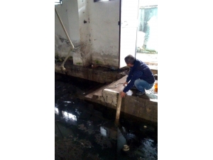 Mersin’de Yağmurun Neden Olduğu Olumsuzluklar Gideriliyor