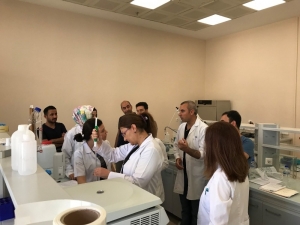 Maü’den Derik Halhalı Zeytini Projesi