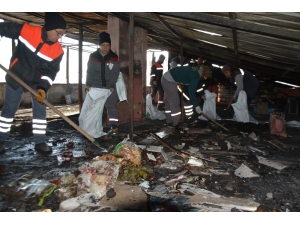 Söke Belediyesi Yangının İzlerini Sildi