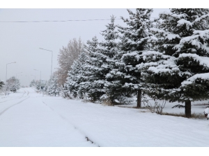 Sivas Beyaza Büründü, 251 Köy Yolu Araç Ulaşımına Kapalı