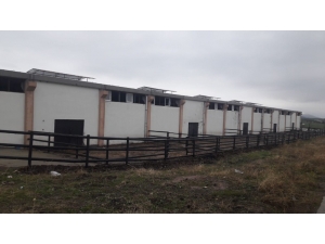 Diyarbakır’da İkinci Çiftlik Bank Vakası