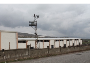 Diyarbakır’daki İkinci Çiftlik Bank Vakası Mağdurları Yardım Bekliyor