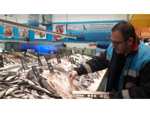 Antalya’da Su Ürünleri Denetimi