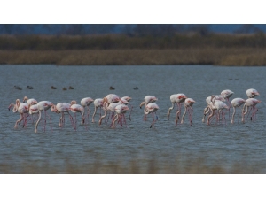 Venedik’ten Bursa’ya