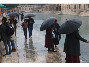 Balıklıgöl’e Gelen Vatandaşlar Balıkları Şemsiye Altında Besledi