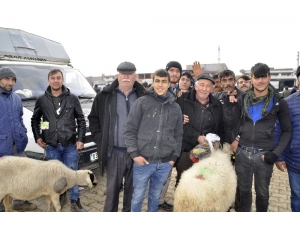 Afyonkarahisar’da Küçükbaş Fiyatları Düştü