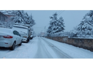 Afyonkarahisar’da Yoğun Kar Yağışı Hayatı Olumsuz Etkiledi