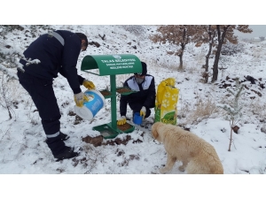 Yerleşim Alanlarına İnmesinler Diye