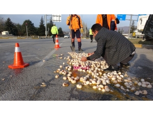Kolilerce Yumurta Yola Döküldü, Ekipler Temizlemek İçin Seferber Oldu