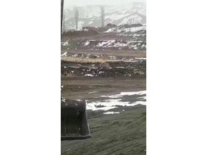 Aç Kalan Kurt Köye Kadar İndi