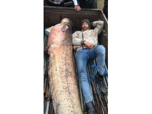 120 Kiloluk Yayın Balığının Yanında Yattılar