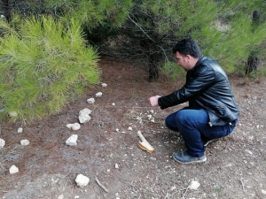 Ülkücü Ocakları Doğaya Yem Bıraktı