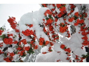 Kar, Simav’da Güzel Manzaralar Oluştu