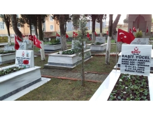 Körfez Şehitliği Bakıma Alındı