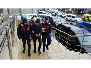 Üniversiteli Ayşe’nin Öldüğü Kazada Sürücü Adliyede