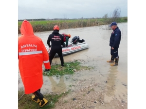 Koyunlarını Otlatırken Sele Kapılan Çobanı Afad Kurtardı