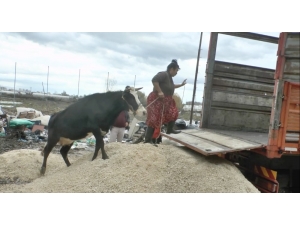 Mersin’de Sel Tahliyesi