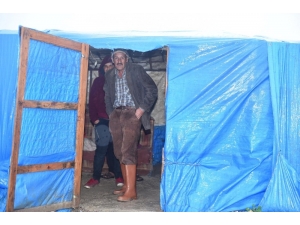 Çadırda Yaşayan Tarım İşçileri Tahliye Edildi