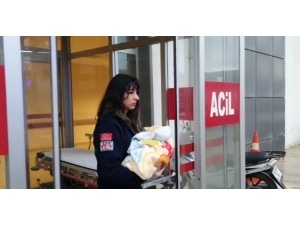 Bir Aylık Bebek 3 Yaşındaki Ağabeyinin Kucağından Yere Düşüp Hastanelik Oldu