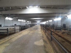 İkinci Çiftlik Bank Vurgununun Zanlıları Yakalandı