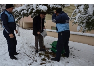 Emet Belediyesi Sokak Hayvanlarını Unutmadı