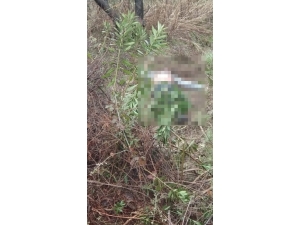 Mersin’de Yağıştan Dolayı Ölenlerin Sayısı 2’ye Yükseldi