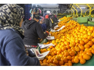 2019’da Gıda Ve Tarımda Öne Çıkanlar