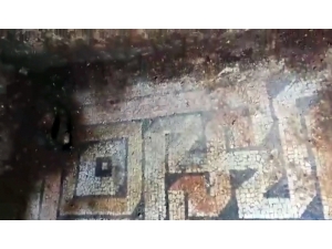 Tarihi Mozaiği Tahrip Eden Kaçak Kazıcılar Polise Yakalandı