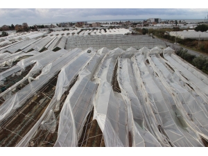 Alanya’da Şiddetli Rüzgar Ve Hortum Seraları Yerle Bir Etti