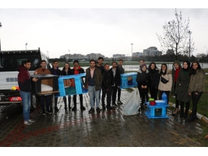 Duyarlı Öğrenciler Kış Günlerinde Sokak Hayvanlarını Unutmadı