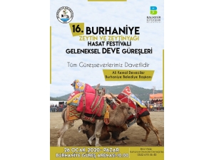 Burhaniye Zeytin Ve Zeytinyağı Festivaline Hazırlanıyor