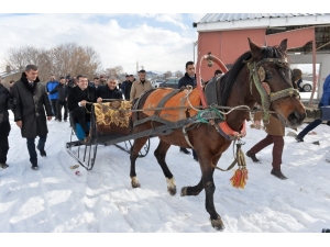 Erzurum Valisi Memiş, Atlı Kızağa Binerek Süt Ve Besi Tesislerini İnceledi