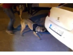 Aksaray’da Uyuşturucu Operasyonu: 1 Tutuklama