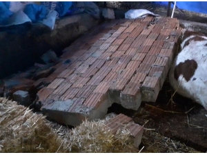 Silivri’de Şiddetli Rüzgarda Yıkılan Duvarın Altında Kalan 2 Hayvan Telef Oldu