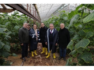 Başkan Böcek: "Yaralar Sarılacak"