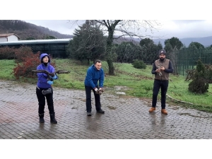 Şahinler Hürriyete Kanat Açtı