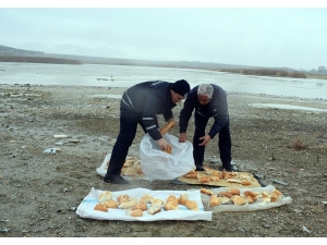 Doğadaki Hayvanlar Aç Kalmasın Diye Yem Bıraktılar