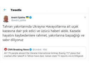 Ukrayna Büyükelçisinden Uçak Kazasına İlişkin Açıklama