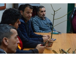 Apartman Görevlilerine Meb Onaylı Budama Eğitimi