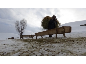 Besicilerin Zorlu Kış Mesaisi