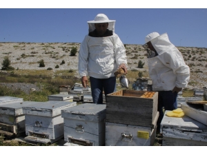 Bal Ormanı, Urlalı Girişimci Kadınlara Gelir Kapısı Olacak