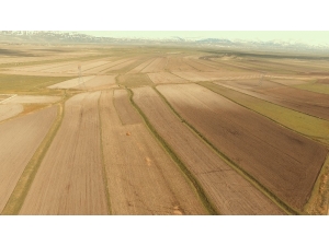 Erzurum, Ağrı Ve Erzincan’da Toplulaştırma Çalışmaları Devam Ediyor