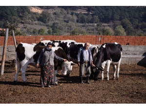 Orman Köylüsüne 5 Milyon 600 Bin Lira Destek