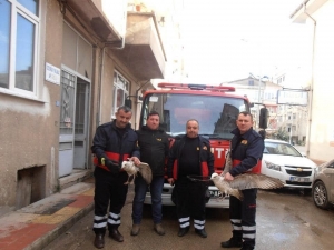 Sinop İtfaiyesinin 2019 Karnesi