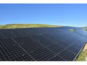 Harran Üniversitesi Kendi Enerjisini Üretiyor