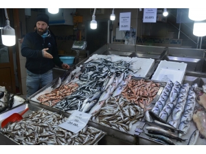 Karadenizli Balıkçıların Yüzü Dip Balıklarıyla Gülüyor