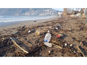 Fırtınadan Kışlık Yakacaklarını Çıkardılar