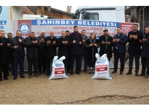 Şahinbey’den Hayvan Yetiştiricilerine 7 Bin Ton Yem Desteği