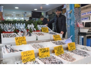 Gürcistan Hamsisi Tezgahları Süslüyor